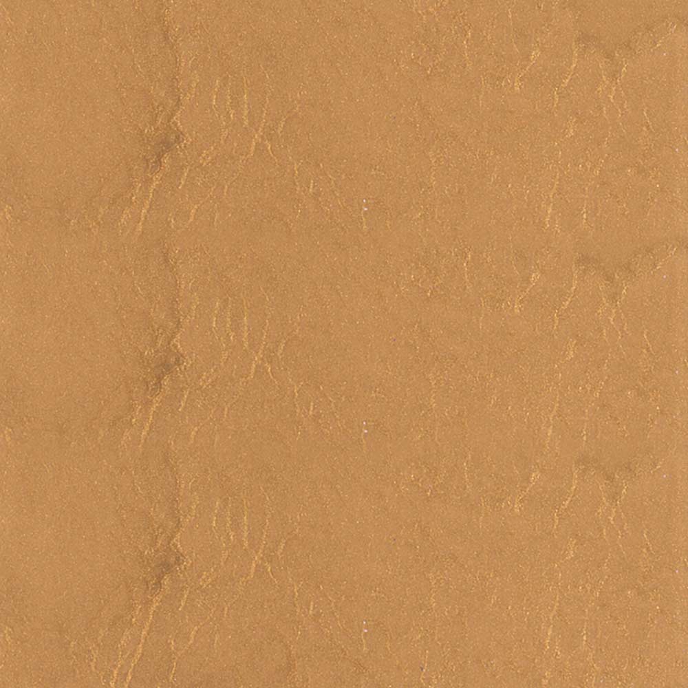 Polished Penny