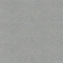 Load image into Gallery viewer, Silverplate
